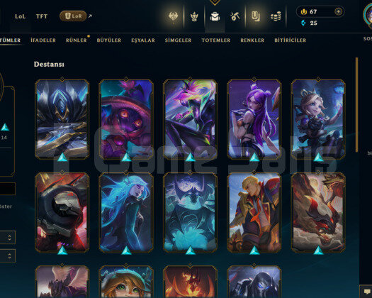 EUW 25 SKİN UNRANKED HESAP - LOL