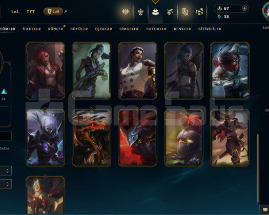 EUW 25 SKİN UNRANKED HESAP - LOL