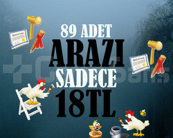 89 ARAZİ 18 TL