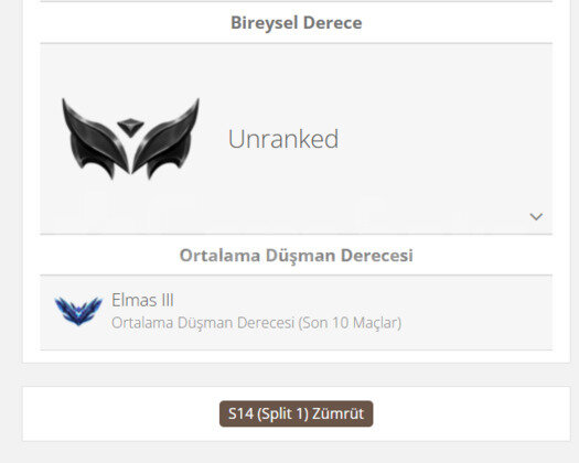 GEÇEN SEZON ELMAS / DERECELİ HAZIR / TR