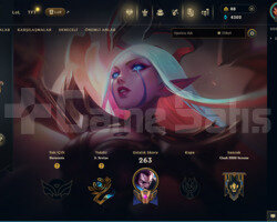 TR 30 SKİN UNRANKED HESAP - LOL