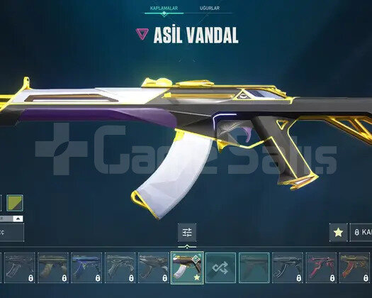 VALORANT ASİL VANDAL HESAP