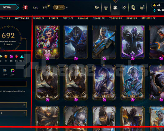 746 LEVEL / 692 SKIN /18 İHTİŞAMLI /+MAIL/+TELEFON