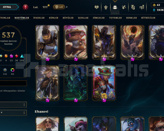 496 LEVEL / 537 SKIN /23 İHTİŞAMLI/+MAIL /+TELEFON