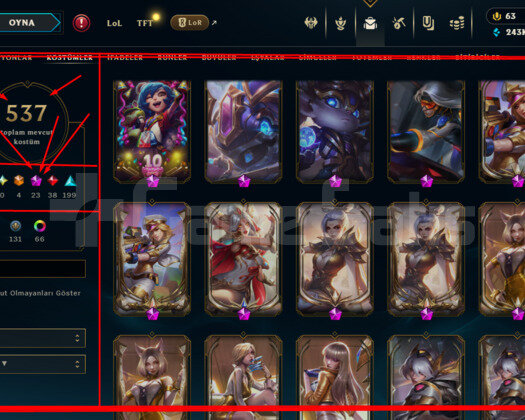 496 LEVEL / 537 SKIN /23 İHTİŞAMLI/+MAIL /+TELEFON