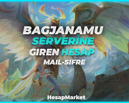 BAGJANAMU SUNUCUSUNA GİREN 1 ADET MAİL ŞİFRE