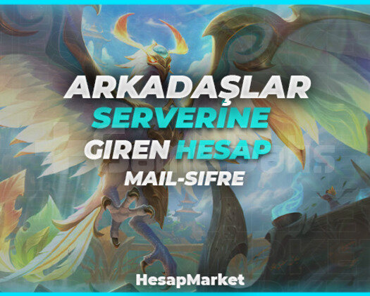 ARKADAŞLAR SUNUCUSUNA GİREN 1 ADET MAİL ŞİFRE