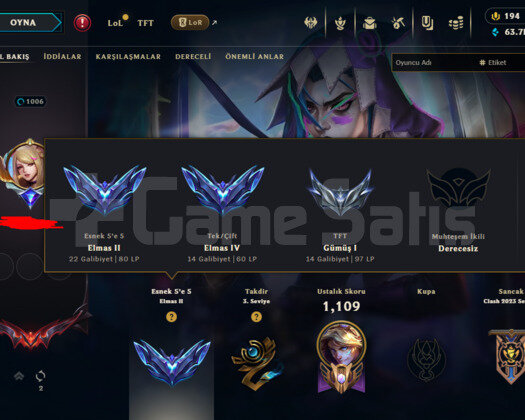 1006 LVL/496 SKIN/13 İHTİŞAMLI/D4 CHALL MMR/+MAIL
