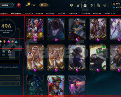 1006 LVL/496 SKIN/13 İHTİŞAMLI/D4 CHALL MMR/+MAIL