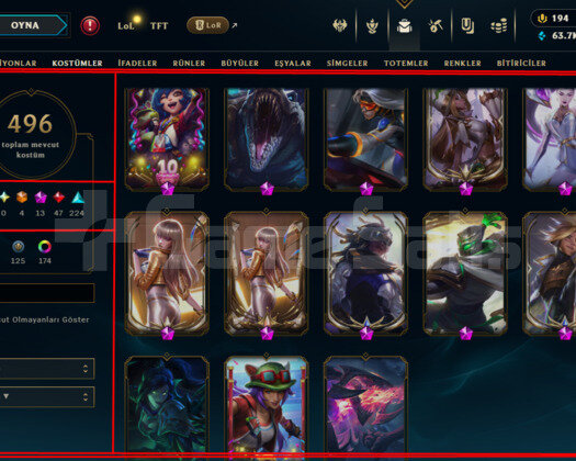 1006 LVL/496 SKIN/13 İHTİŞAMLI/D4 CHALL MMR/+MAIL