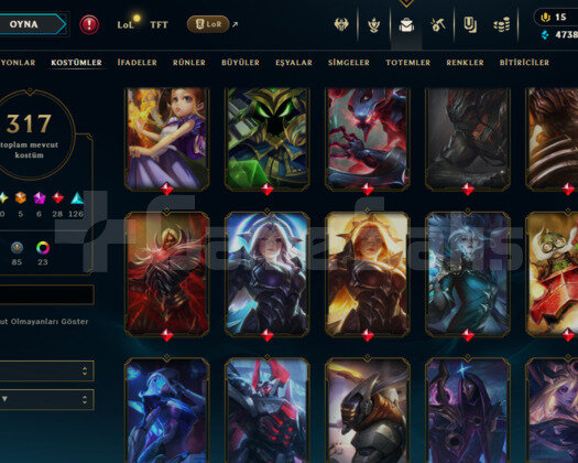 265 LEVEL / 317 SKIN / 6 İHTİŞAMLI / +MAIL / +TEL