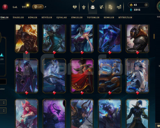 TR / 362 LEVEL / 204 SKIN / FULL HERO / +MAIL