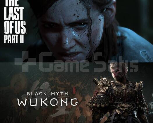 THE LAST OF US PART II - BLACK MYTH WUKONG