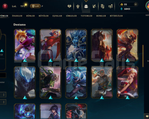 TR 44 SKİN UNRANKED HESAP - LOL