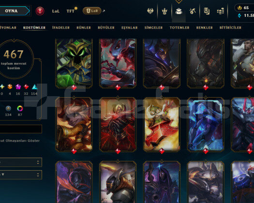 476 LEVEL / 467 SKIN /16 İHTİŞAMLI/FULL HERO/+MAIL