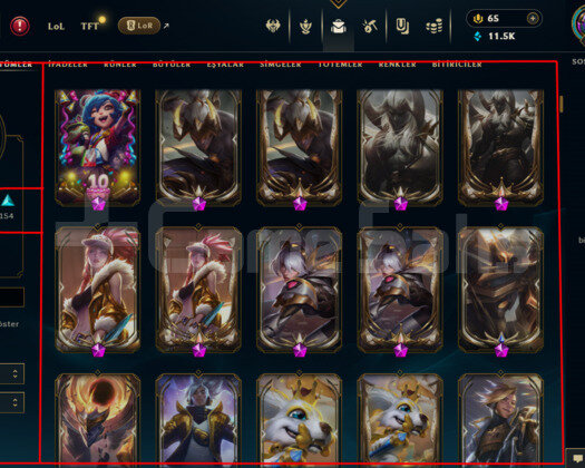 476 LEVEL / 467 SKIN /16 İHTİŞAMLI/FULL HERO/+MAIL