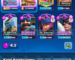 8 EVRİM ROYALE PASS ACİK SAGLAM HESAP
