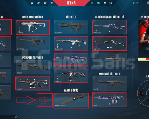 MAİL ONAYSIZ İLK MAİLLİ BATTLE PASS 22 LVL PLAT 2