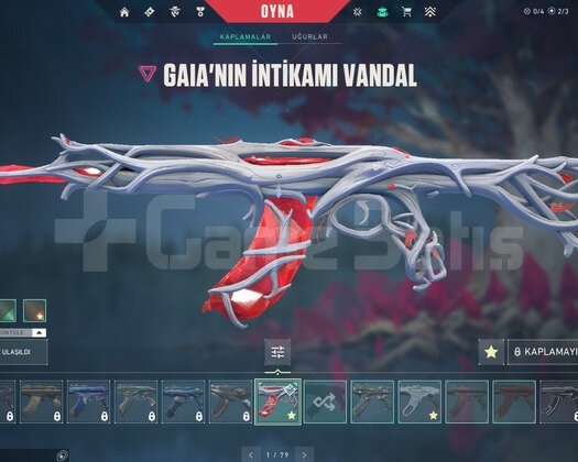 Kaos vandal + gaiga vandal + yıldız belası phantom