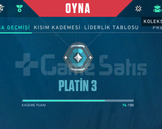 MAİL ONAYSIZ + İSİM DEĞİŞEBİLEN PLAT 3 TR HESAP