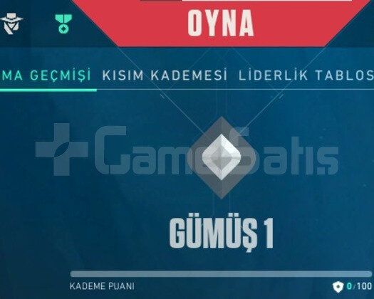 Düşük Elo Dolu Hesap