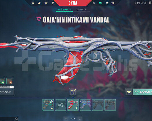 5 BIÇAKLI TAM TADINDA MAINLEMELIK FENASAL ACC!