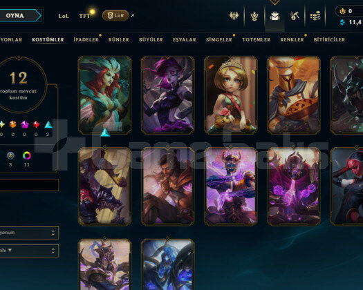 TR / GRANDMASTER 61 WR +25 -16 LP GAIN MAINLEMELİK