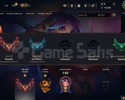 TR / GRANDMASTER 61 WR +25 -16 LP GAIN MAINLEMELİK