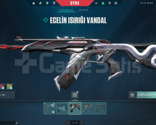 CHAMPİONS 2022 SETLİ VCT 2025Lİ MAİNLİK FULL HESAP