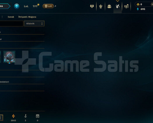TR UNRANKED S9 HESABI 13 KOSTÜM
