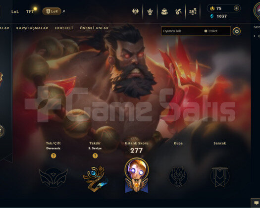 TR 170 SKİN UNRANKED HESAP - LOL