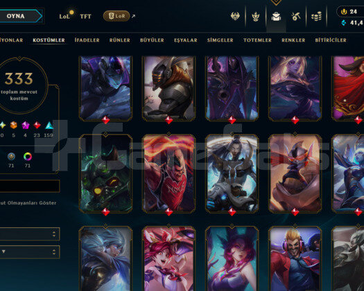 547 LEVEL / 333 SKIN / FULL HERO / +MAIL+TEL