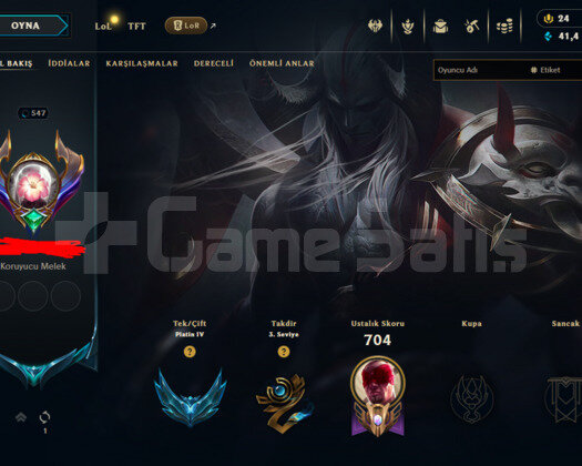 547 LEVEL / 333 SKIN / FULL HERO / +MAIL+TEL