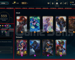 547 LEVEL / 333 SKIN / FULL HERO / +MAIL+TEL