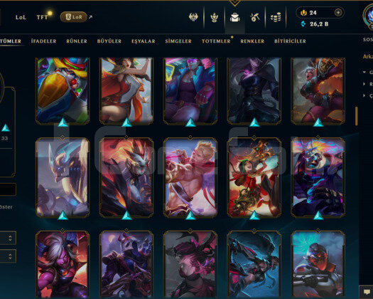 TR / 266 LEVEL / 131 SKİN / 149 HERO +MAİL