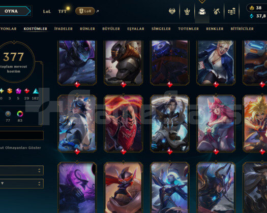 477 LEVEL / 377 SKIN / FULL HERO / +MAIL