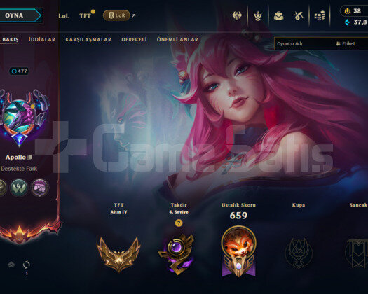 477 LEVEL / 377 SKIN / FULL HERO / +MAIL