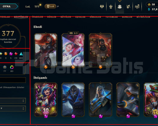 477 LEVEL / 377 SKIN / FULL HERO / +MAIL