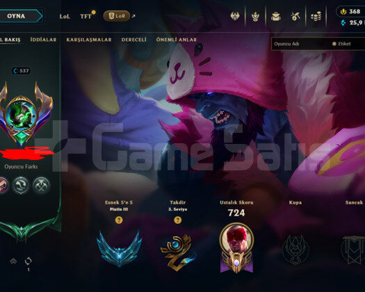 537 LEVEL / 314 SKIN / FULL HERO / +MAIL+TEL