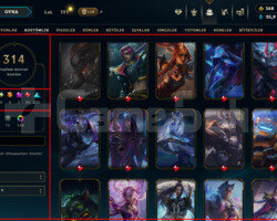 537 LEVEL / 314 SKIN / FULL HERO / +MAIL+TEL
