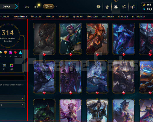 537 LEVEL / 314 SKIN / FULL HERO / +MAIL+TEL