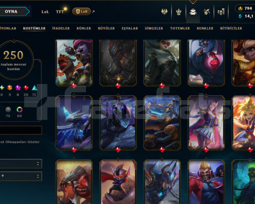 200 LVL/ 250 SKIN/ PLAT 3/ 794 RP/ FULL HERO/+MAIL