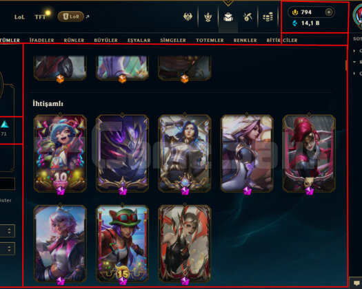 200 LVL/ 250 SKIN/ PLAT 3/ 794 RP/ FULL HERO/+MAIL