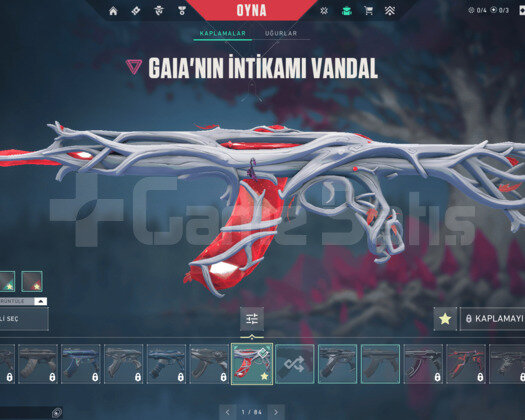 WS22  Gaia vandal Fatih Ghostlu Hesap