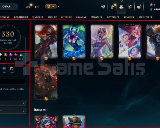 476 LEVEL / 330 SKIN / FULL HERO / +MAIL / +TEL