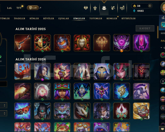 League of legends Diamond hesap 235 kostüm