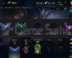 League of legends Diamond hesap 235 kostüm