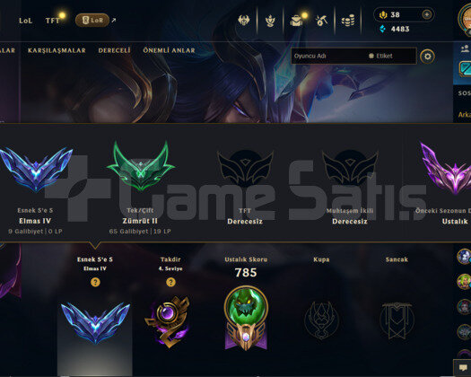 League of legends Diamond hesap 235 kostüm