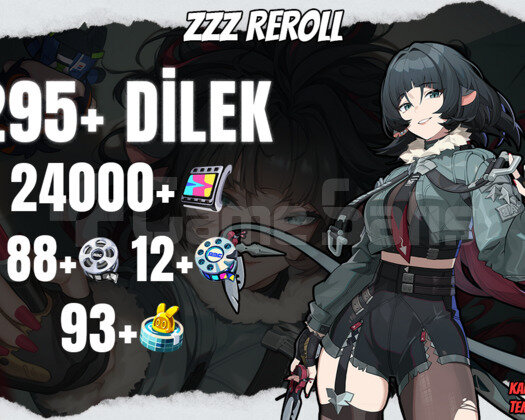 EU | IK42 295+ Dilek - 24000 Polychrome 88/12