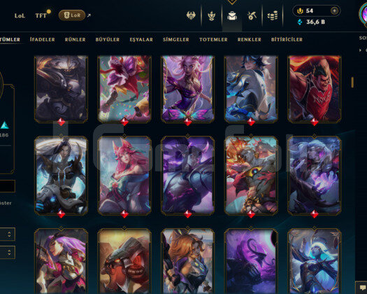 601 LEVEL / 417 SKIN / FULL HERO / +MAIL / +TEL